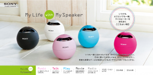 8c8056ccdbe8dec785920b9d3f37398f-300x148 My Life with My Speaker